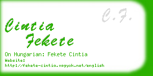 cintia fekete business card